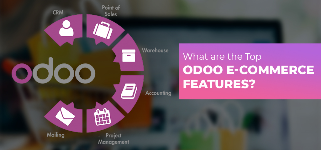 What are the top Odoo ECommerce features?