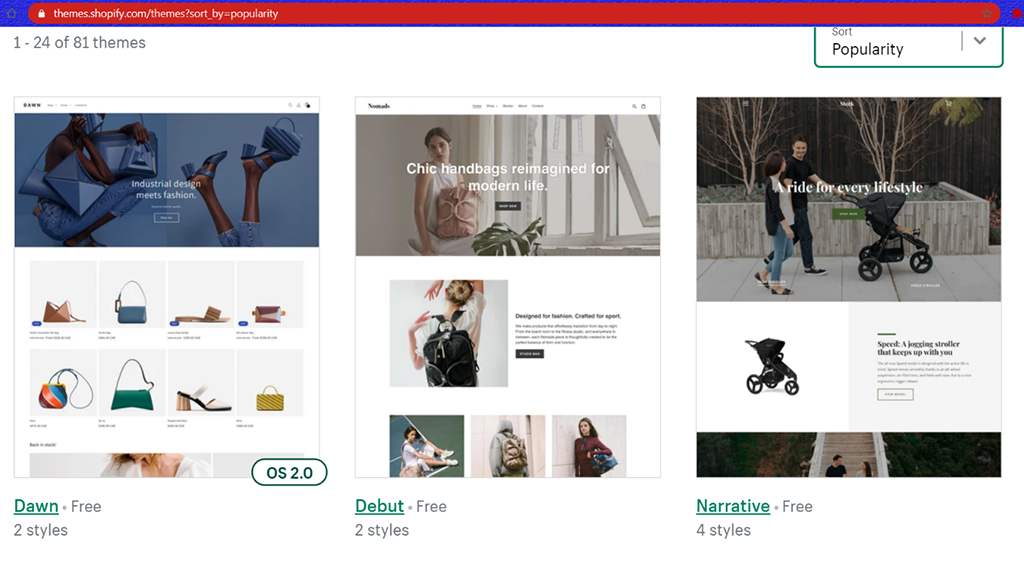 Shopify Themes example: